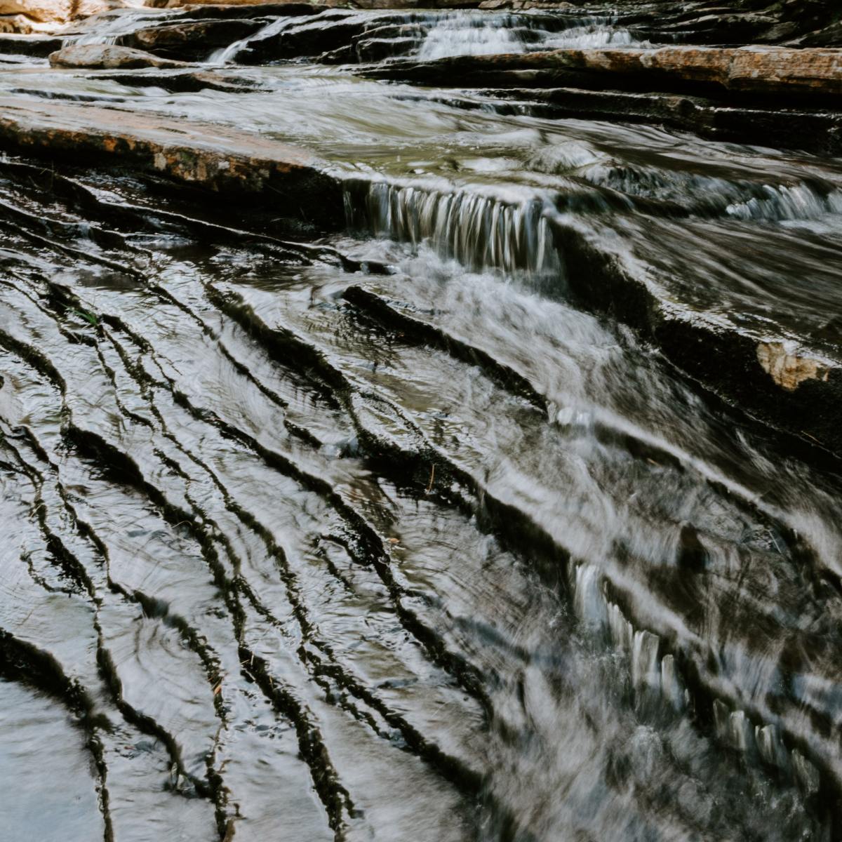 Πώς το Περιβάλλον σου Επηρεάζει τη Ζωή&nbsp;σου